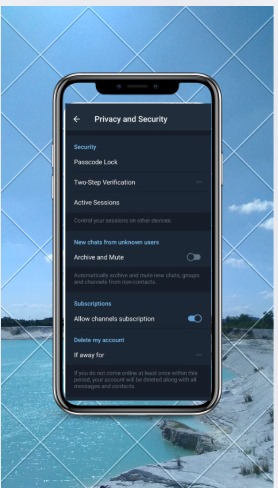 GB Telegram Mod APK 8 telegram settings iamge 2