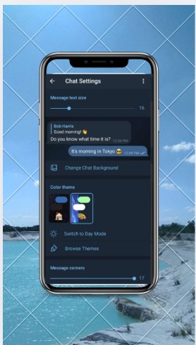 GB Telegram Mod APK 6 telegram settings iamge 4